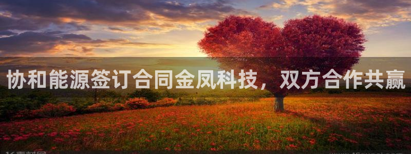 sunbet手机网页版
