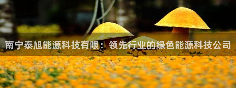 sunbet程序
