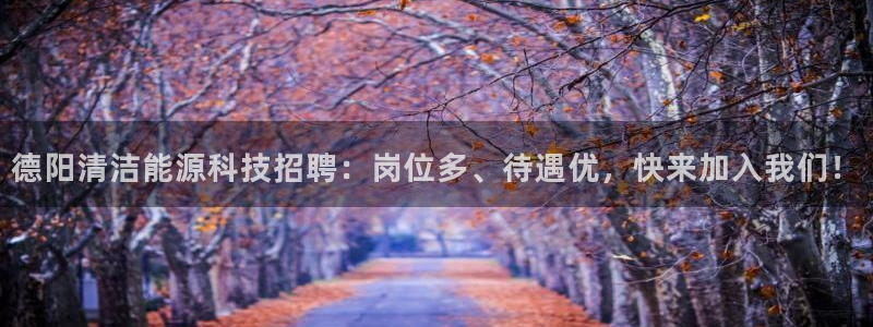 sunbet程序