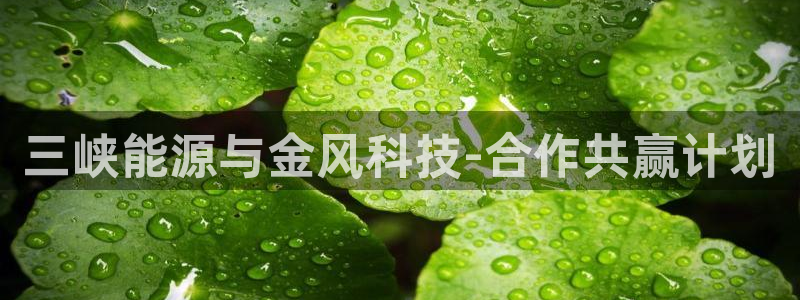 sunbet申搏地址