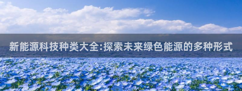 sunbet程序