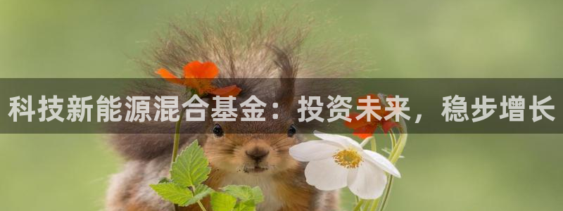 sunbet官网welcome