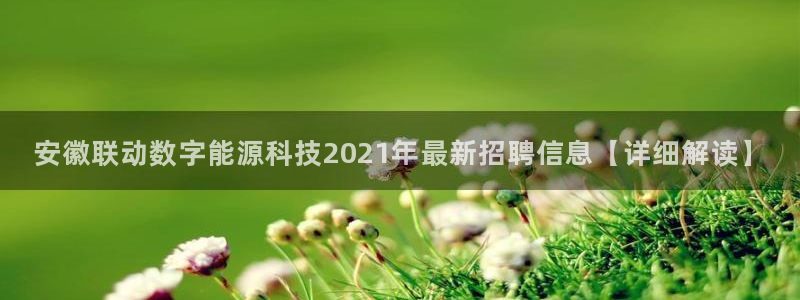 sunbet官网手机版登录