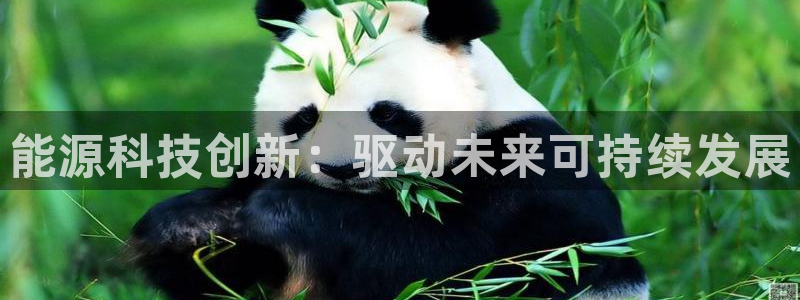 sunbething怎么读