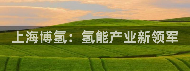 sunbet官网app首页