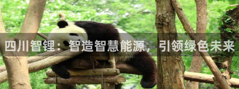 sunbet苹果官网下载