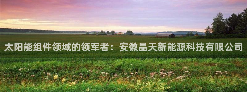 sunbet手机版官网下载