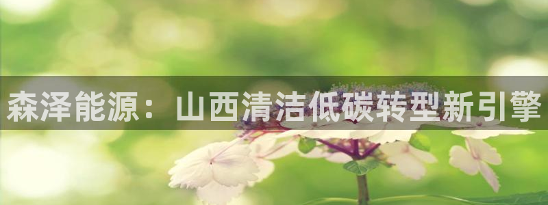 sunbet最新消息