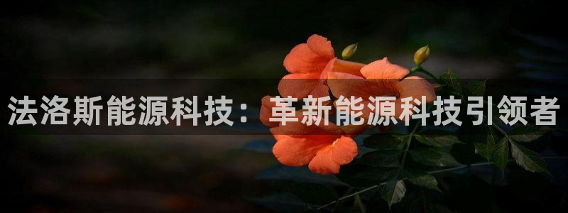 sunbet英语翻译