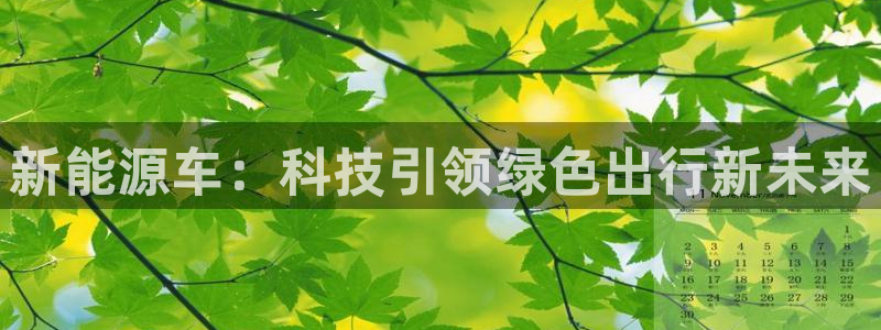 sunbet最新登陆