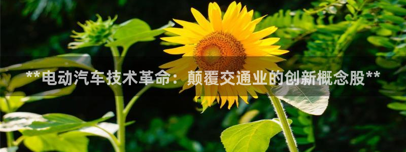 sunbet中国官网