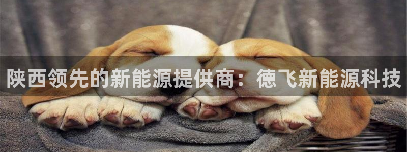 申博官方网址