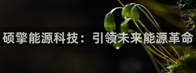 进入sunbet官网手机版登陆