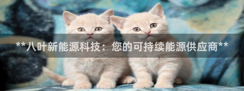sunbet手机网页版本