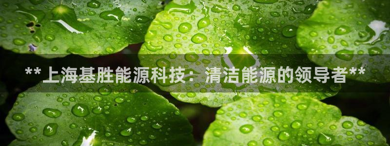 sunbet游戏最新版