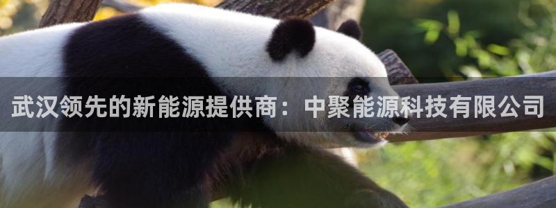 sunbet官网代理下载
