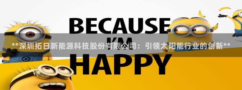 sunbet最新登陆