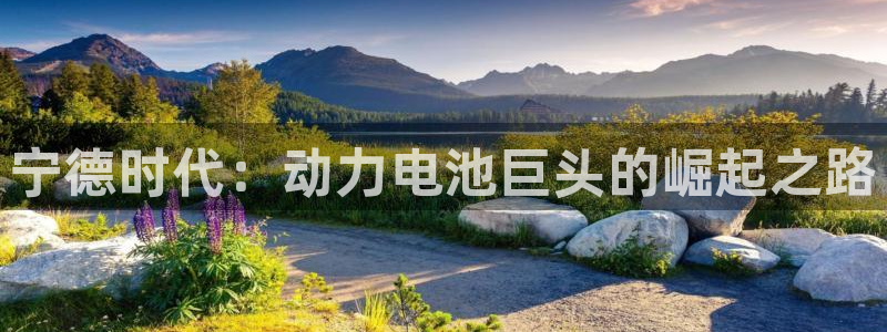 sunbet手机版官网下载