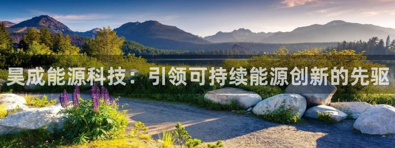 sunbet申搏地址