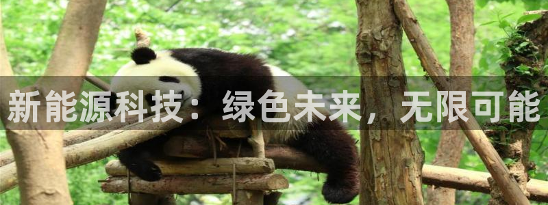 申博手机版官网