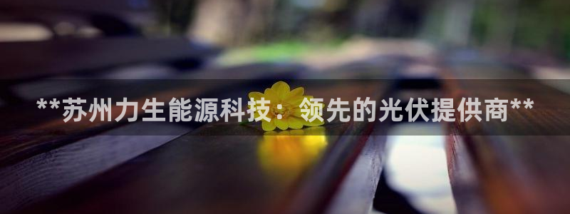 sunbet申搏官方网站