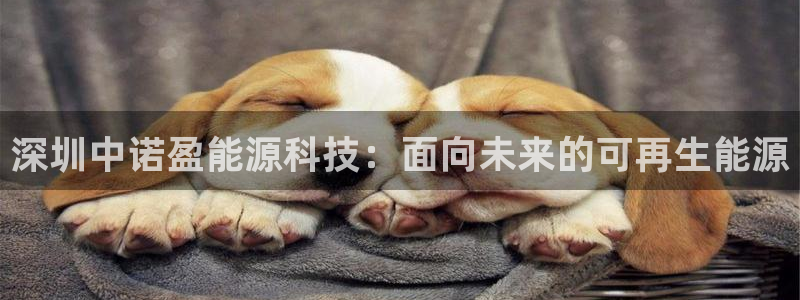 sunbet最新登陆