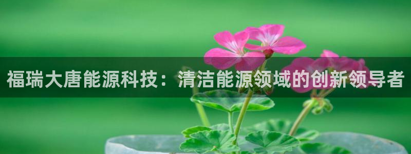 sunbet游戏地址