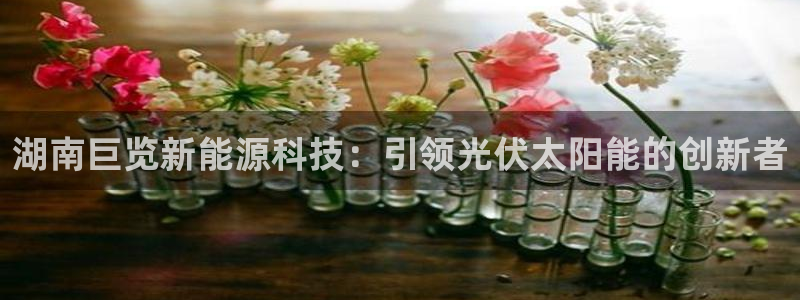 sunbet程序
