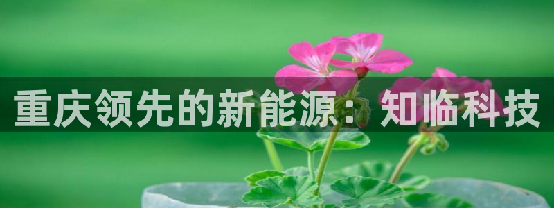 sunbet中国官网