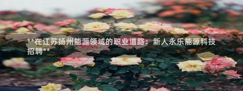 申博视讯