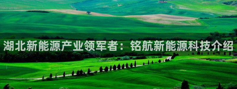 sunbet官网登录首页