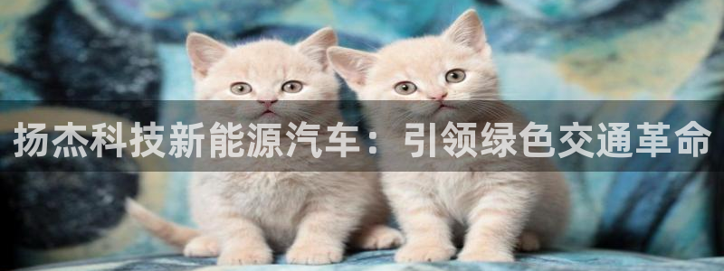sunbet手机网页版本