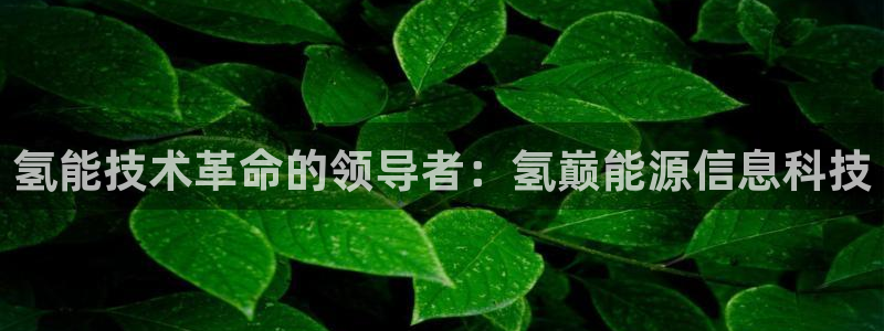 sunbet申搏地址