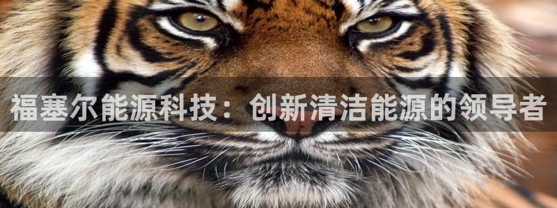 申慱sunbet版app