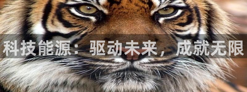 申博手机网址