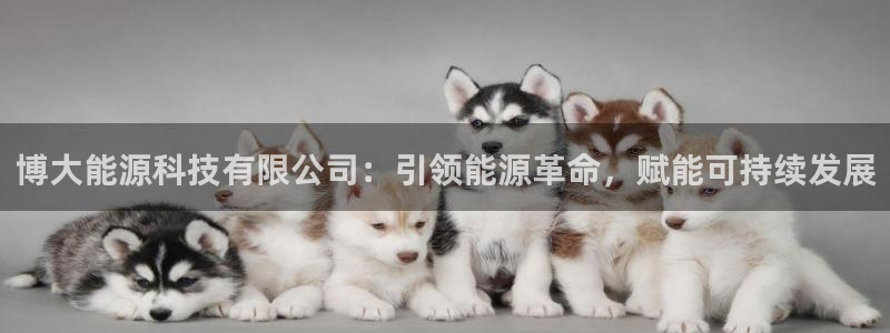 sunbet游戏官网