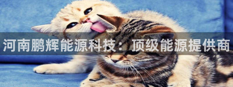 sunbet官网代理下载