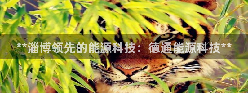 sunbet靠谱吗