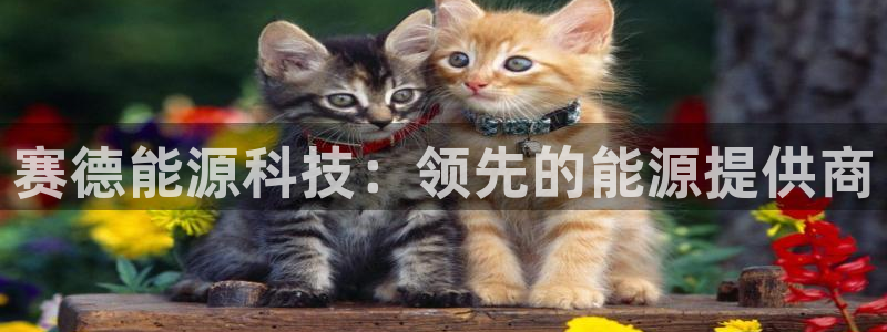 sunbet游戏最新版