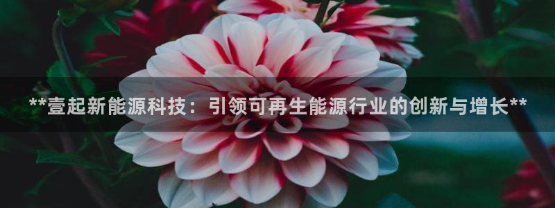 申慱sunbet手机版登