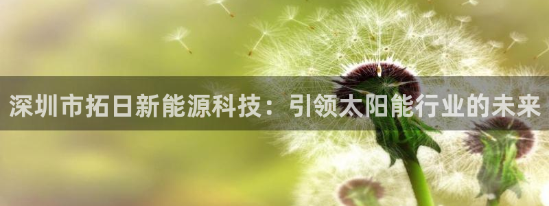 sunbet源码