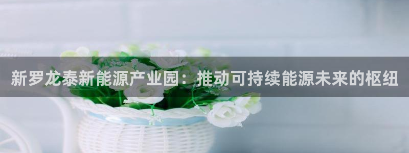 sunbet官网手机版登录