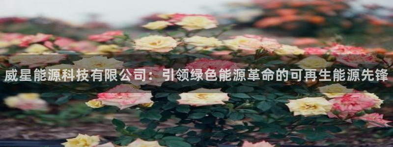 sunbet手机app版