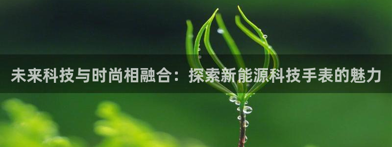 sunbet游戏