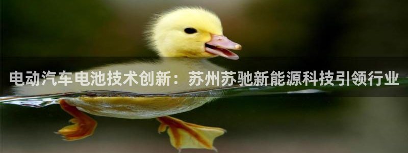 sunbet中国官网