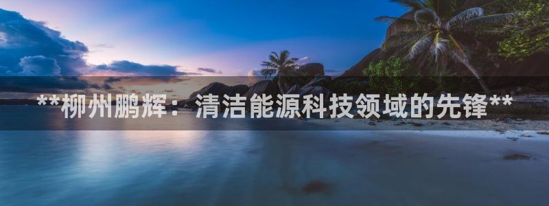 sunbet手机网页版本