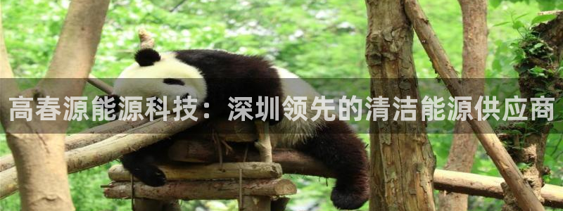 sunbet手机端