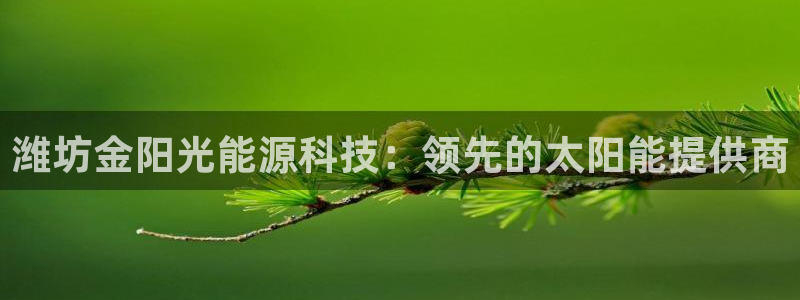 sunbet中国官网