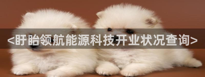 申慱sunbet手机版登