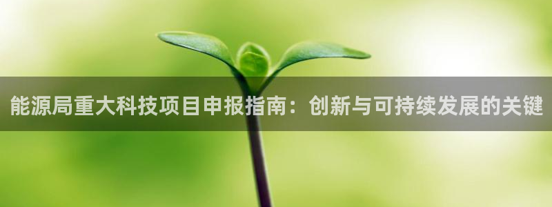 sunbet中文